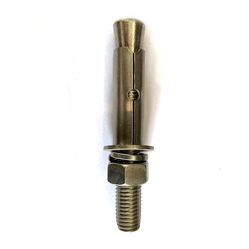 Customized Anchor Bolt Model