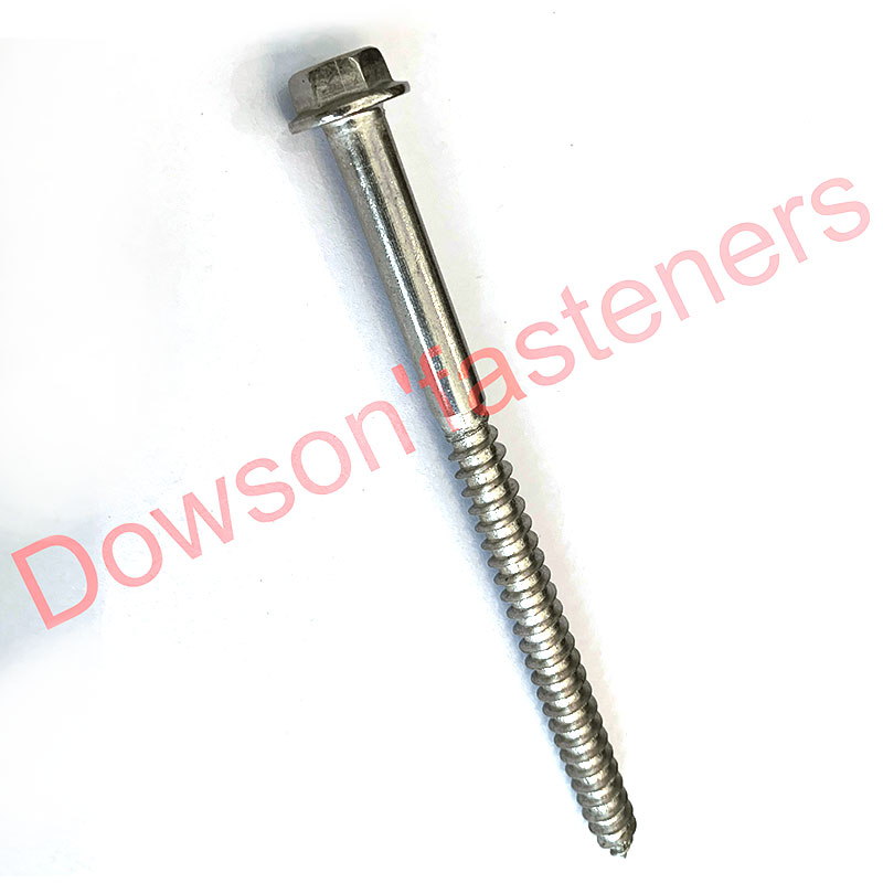 SS304 Flang Head Wood Screw